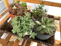 営業に関する諸々のお知らせ