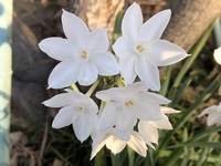 何に意識を向け、どんな心の状態でいるか？が大事