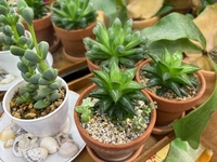 歪は宇宙と自分とのズレ、なので・・