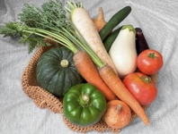 カラダに良いものを選んでるのに不調、というなら、こんなところの見直しを！