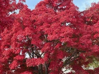 これからの生き方