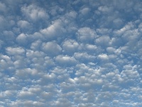 自分が放つ言葉に責任を持つ