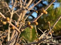 変化を受け入れながら皆で共に栄えていきましょう！