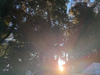 神社は宣言をする場であって個人的な願い事はNG