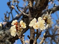 ５次元にバイブレーションを合わせる３つのポイント