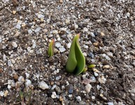 スペースもシステムもいただいてる