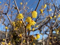 １７周年！ありがとうございます