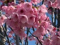 エネルギーが先行する