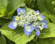 現実を変える３つのとらえ方